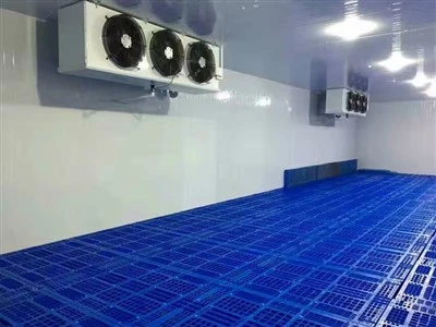 2025 10 cea mai importantă fabrică de camere frigorifice din China